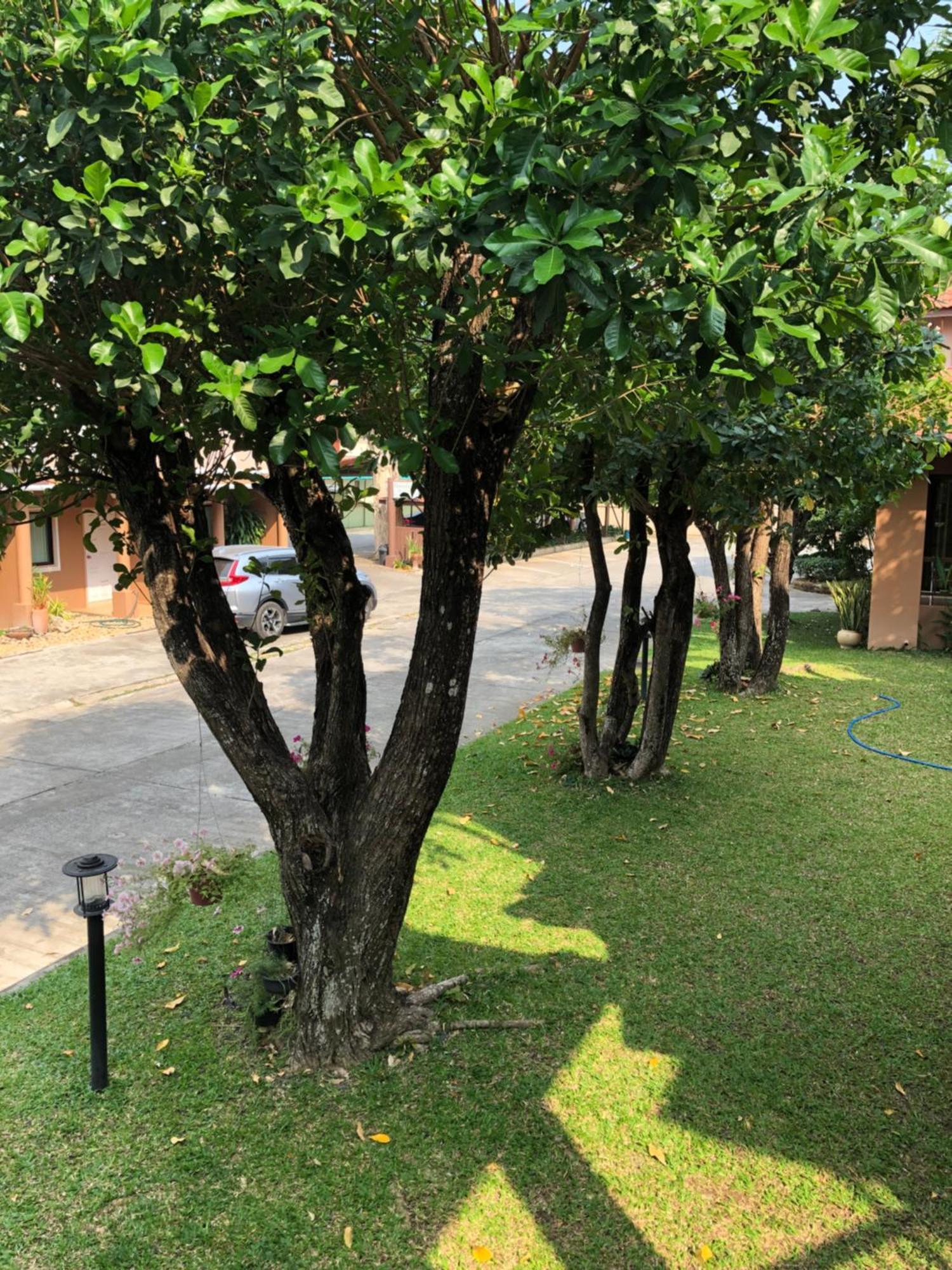 Areena Resort And Hotel Uttaradit Exteriér fotografie